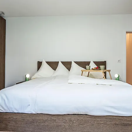 Chesa Salet By Interhome St Moritz